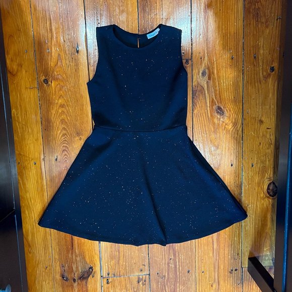 Ginger G Dresses & Skirts - Ginger G Women's Black Skater Dress Size M